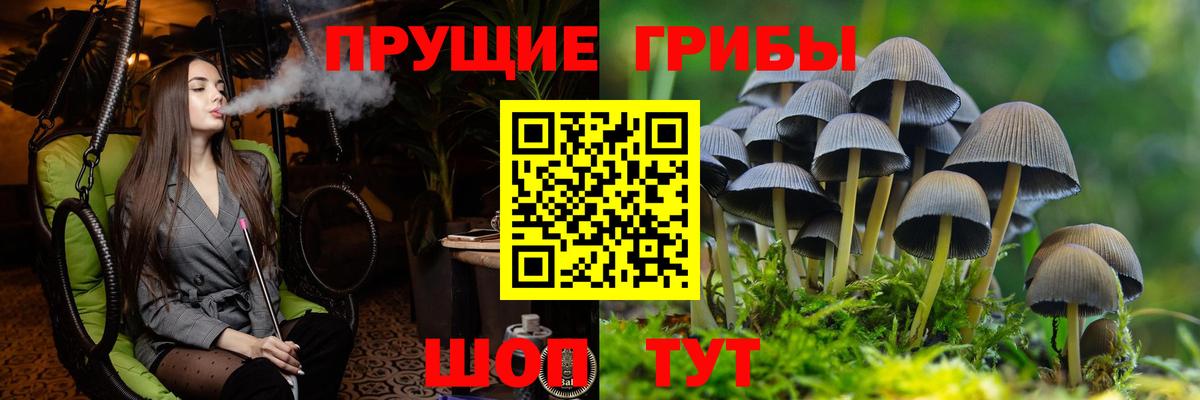 Кыштым  Галлюциногенные грибы Magic Shrooms  Вход с VPN  Галлюциногенные грибы GOLDEN TEACHER 